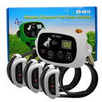 With 3 collars / UK Plug
