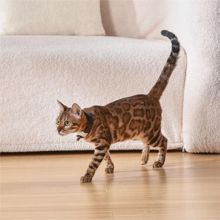 Pet Cat Toy Laser Collar with Adjustable Strap | Durable ABS Design for Endless Fun and Exercise