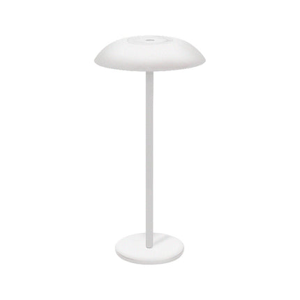 Iron Elegance Lamp with Touch Control and USB-C Rechargeable Battery | Stylish LED Lighting for Home Ambiance