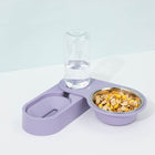 Automatic Pet Feeder with Stainless Steel Bowl & Water Dispenser | Efficient Mealtime Solution for Cats