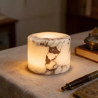 Ivory Noir Marble / Warm White