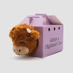 Highland Cow Plush Toy + Coloring Box