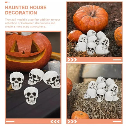 Mini Skeleton Skulls 10 Pack, Skeleton Heads for Halloween Skeleton Decor