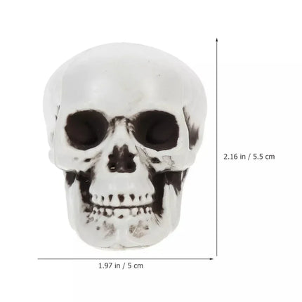 Halloween Skull Decorations for Tabletop, Skeleton Heads for Halloween Skeleton Decor – image 6