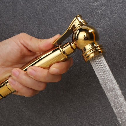 Bidet Toilet Sprayer, Hand Held Bidet Sprayer for Toilet, Titanium Gold Brass Toilet Bidet with Holder, Bathroom Sprayer