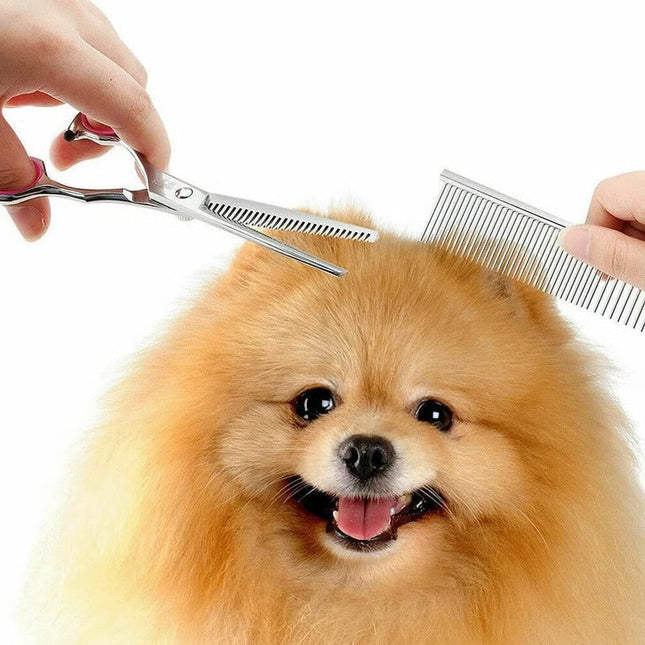 Dog Grooming Scissors, Dog Grooming Tools with Thinning Shears, Curved Scissors, Cutting Shears, Dog Comb and Case