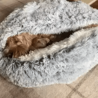Calming Cave Dog Bed for Small Dogs – image 6