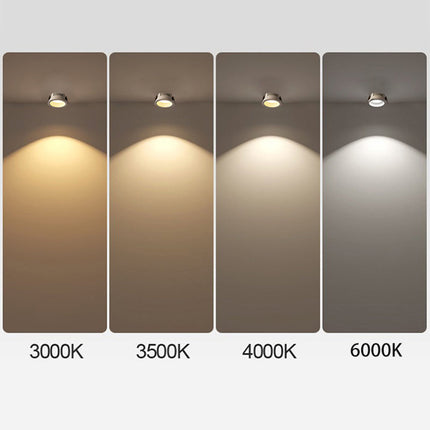 LED Flush Mount Ceiling Light, Round Ceiling Spotlight with Adjustable Head – image 6