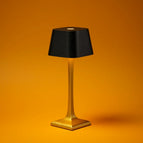 Black and Gold