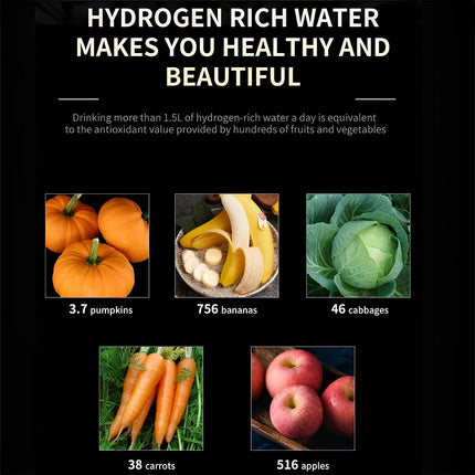 Hydrogen Water Generator with SPE PEM Membrane – image 14