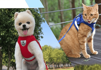 Cat Harness and Leash Set, Adjustable Cat Walking Harness with Reflective Straps, Breathable Nylon Cat Leash