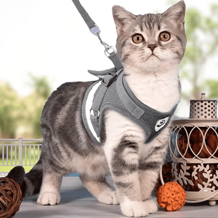 Cat Harness and Leash Set – image 6
