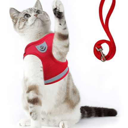 Cat Harness and Leash Set, Breathable Nylon Cat Leash – image 5