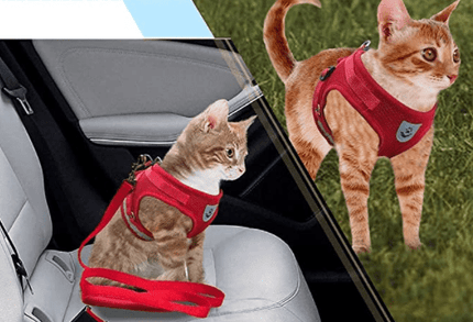 Cat Harness and Leash Set, Adjustable Cat Walking Harness with Reflective Straps