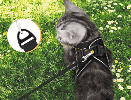 Cat Harness and Leash Set, Breathable Nylon Cat Leash