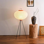 Large Floor Lamp / Warm Light / Europe
