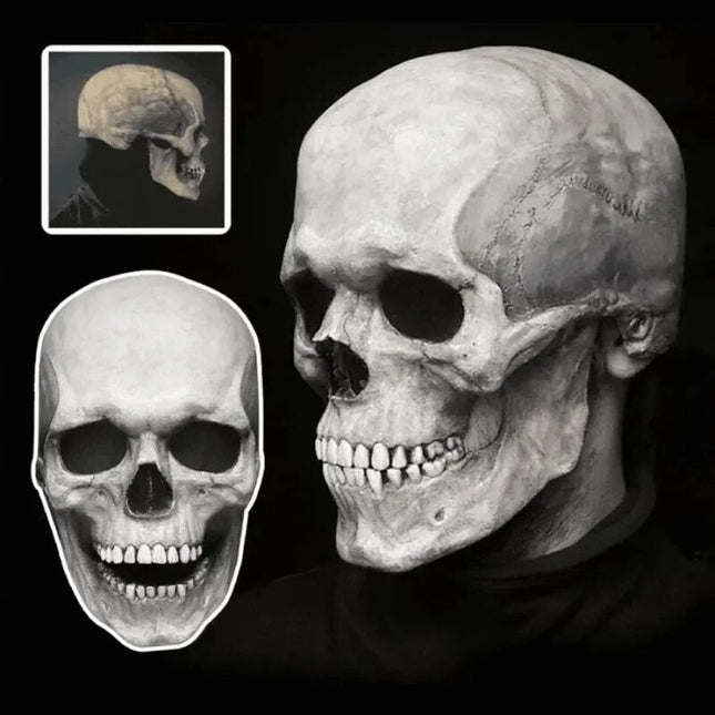 Halloween Costume Mask, Realistic Skull Mask