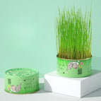 Cat Grass Can Rye Seeds
