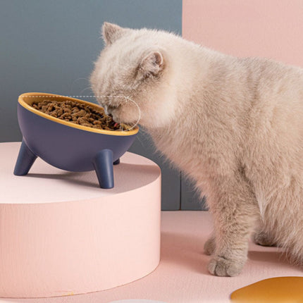 Ergonomic Pet Feeding Bowl with Stand and 15° Tilt Design | Hygienic Solution for Comfortable Eating