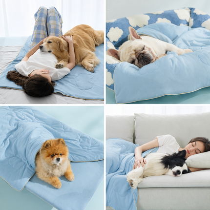 Cozy Pet Collection | Cooling Blanket for Dogs with Q-MAX>0.4 | Washable Summer Throw for Comfort in Hot Weather