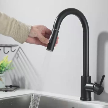 Kitchen Faucet with Sprayer, Single Hole Kitchen Sink Faucet, Brass Pull Out Kitchen Faucet
