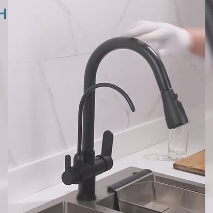 Brass Kitchen Sink Faucet with Pull Out Dual Spout – video 20