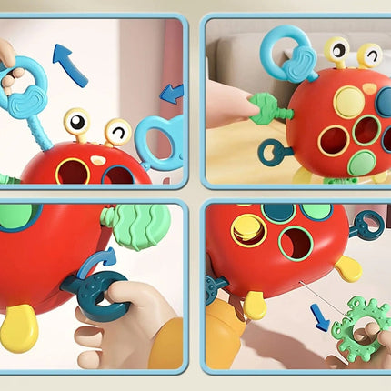 Sensory Toys for Infants, Interactive Crab Toy