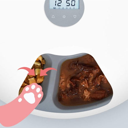 Smart Automatic Pet Feeder with Six Meal Capacity | Programmable Feeding for Cats and Dogs