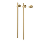Brushed Gold / 110V