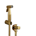 Titanium Gold-2