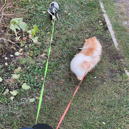 Double Dog Leash, No Tangle Rotating Dog Walking Leash for Small to Large Dogs – image 6