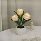 3 White Tulips / Battery