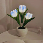 3 Blue Tulips / Battery