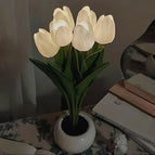 6 White Tulips / Battery