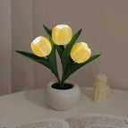 3 Yellow Tulips / Battery