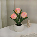 3 Pink Tulips / Battery